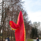 ParagleiterAbsturz0303201008.jpg