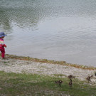 IMG_8471_jpg-1368907772