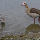 IMG_8566_jpg-1368907782