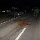 01032010vusaaldorfwhaktivnews_07.jpg