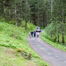 Maiandacht