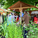 Markt Altach126.JPG
