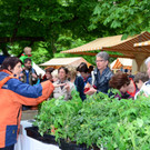 Markt Altach162.JPG