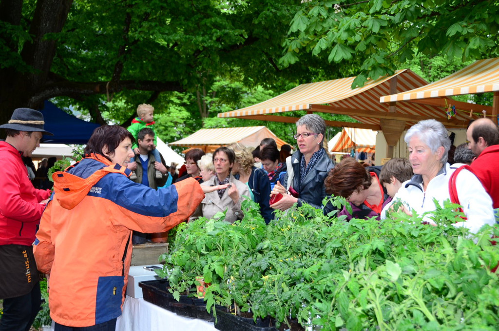 Markt Altach162.JPG