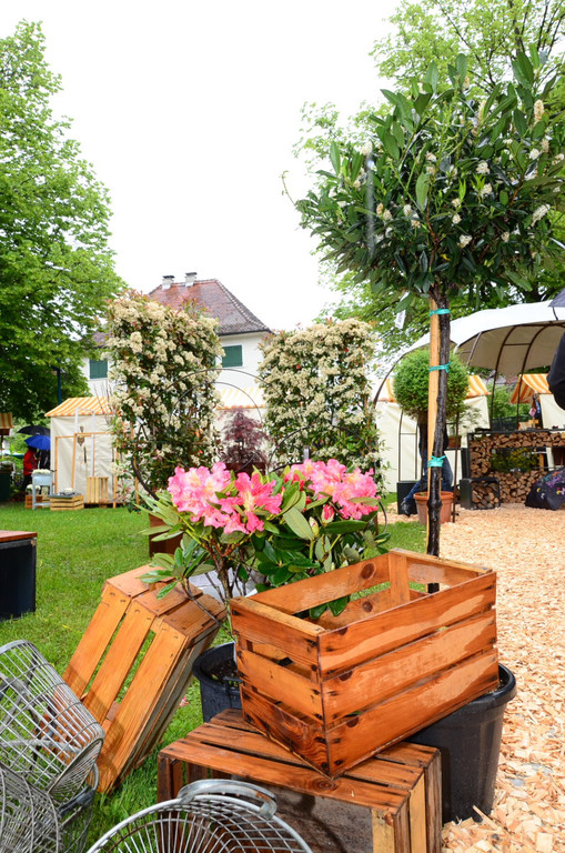Markt Altach237.JPG