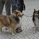 _DSC08280006_JPG-1267686382