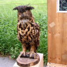 DSC00273.JPG