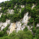 DSC07334.JPG