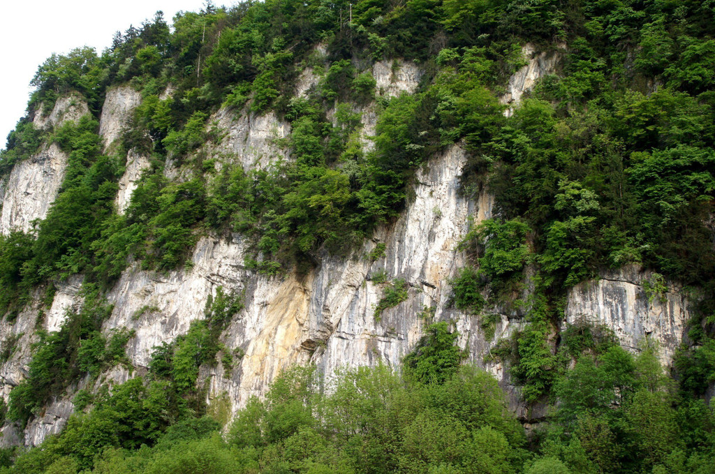 DSC07334.JPG