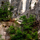 DSC07340 a.JPG
