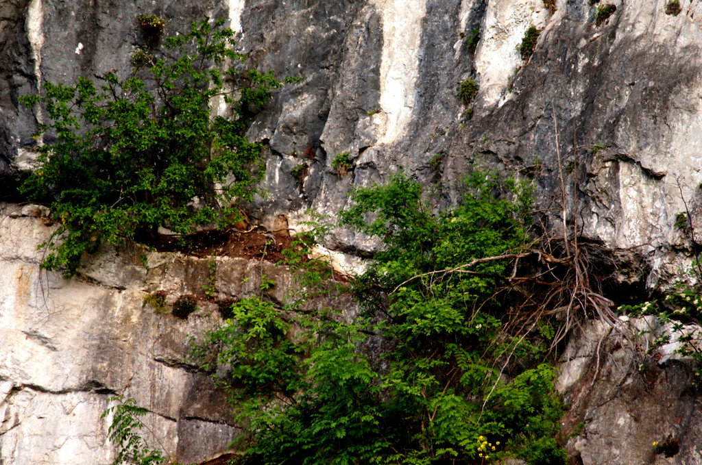 DSC07340 a.JPG