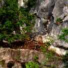 DSC07340 b.jpg