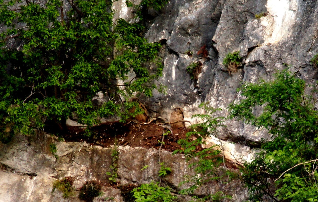 DSC07340 b.jpg