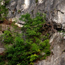 DSC07341 a.JPG