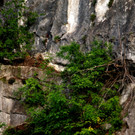 DSC07342 a.JPG