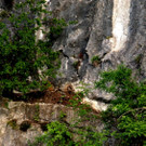 DSC07342 b.jpg