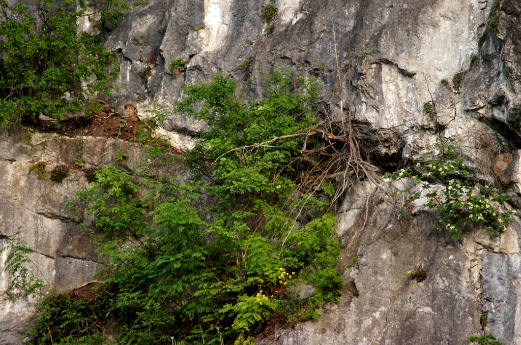 DSC07343 a.JPG