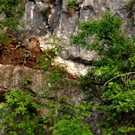 DSC07343 b.jpg