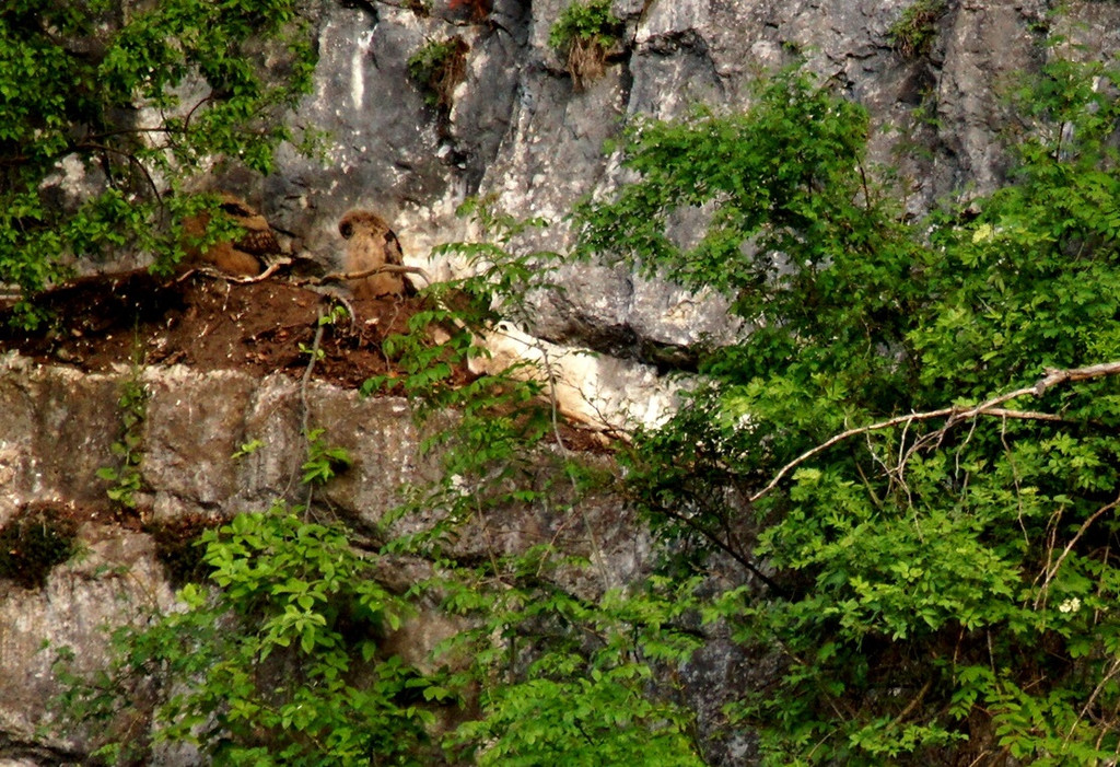 DSC07343 b.jpg