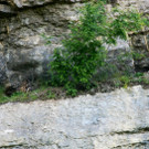 E01 Koblach.jpg