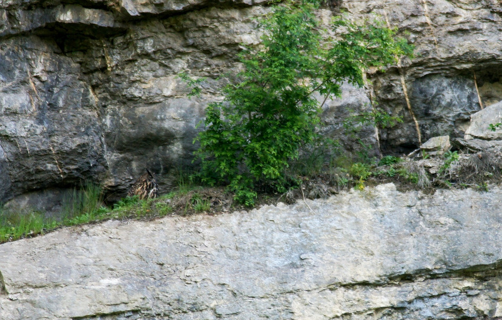 E01 Koblach.jpg