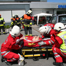 grilla_jpg 174_jpg-1368997057