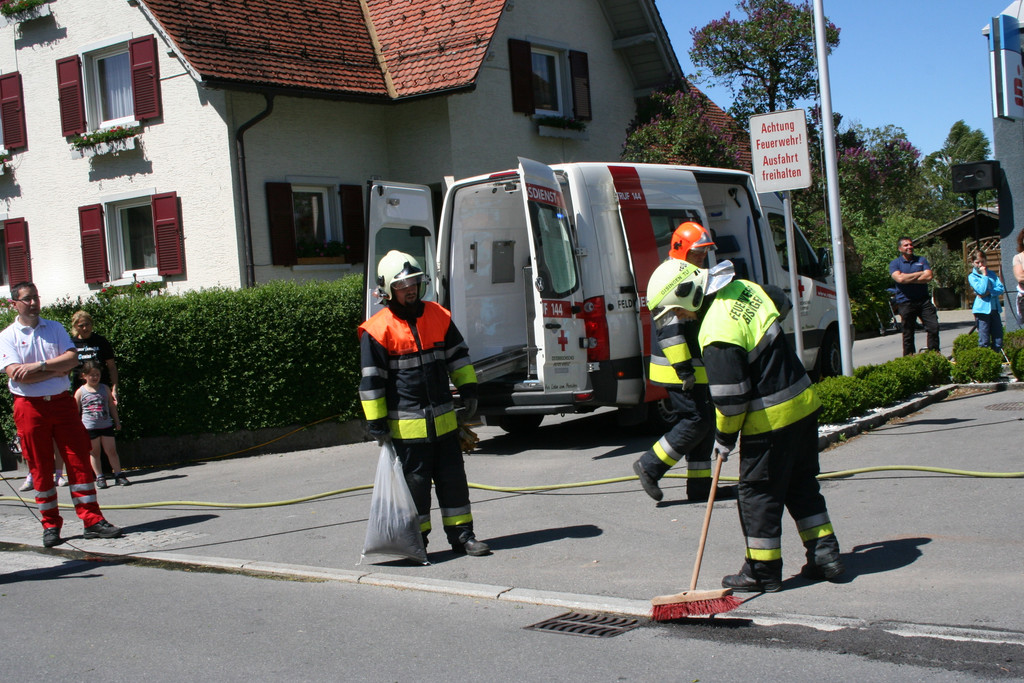 grilla_jpg 133_jpg-1368998720