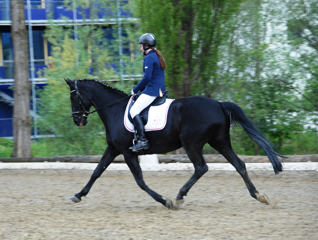 Reiten 1.JPG