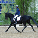 Reitturnier