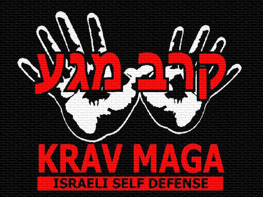 Krav maga Logo.jpg