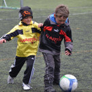 DSC_9513.jpg