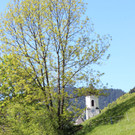 IMG_3221.JPG