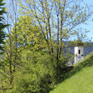 IMG_3223.JPG