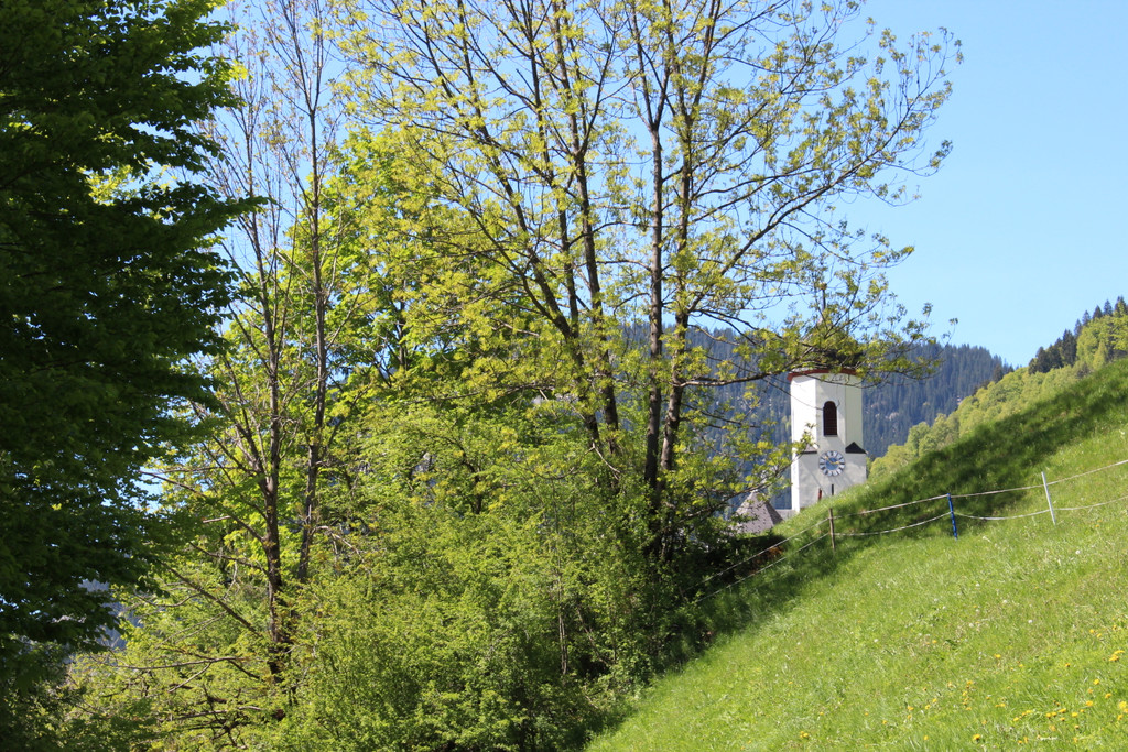 IMG_3223.JPG