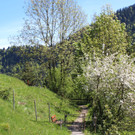 IMG_3229.JPG