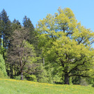 IMG_3232.JPG