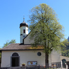 IMG_3237.JPG