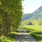 IMG_3257.JPG
