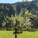 IMG_3281.JPG