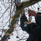 Schnullerbaum Symbolfoto 2013 _6__jpg-1369044301