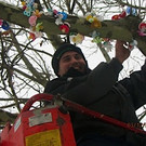 Schnullerbaum Symbolfoto 2013 _2__jpg-1369044297
