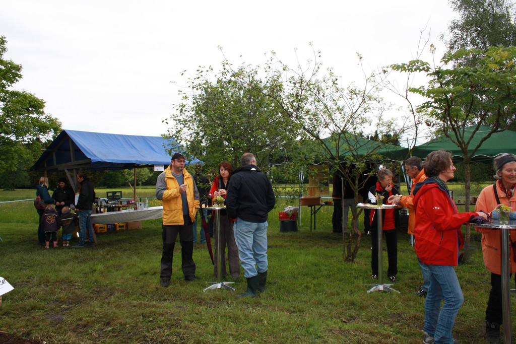 BF 2013 IMG_2954.JPG