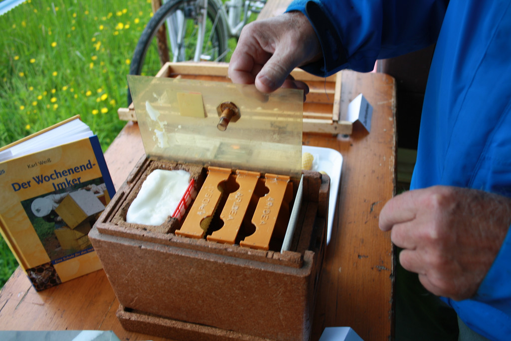 BF 2013 IMG_2949.JPG