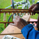 BF 2013 IMG_2950.JPG