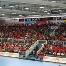 IMG_8685_JPG-1369052435