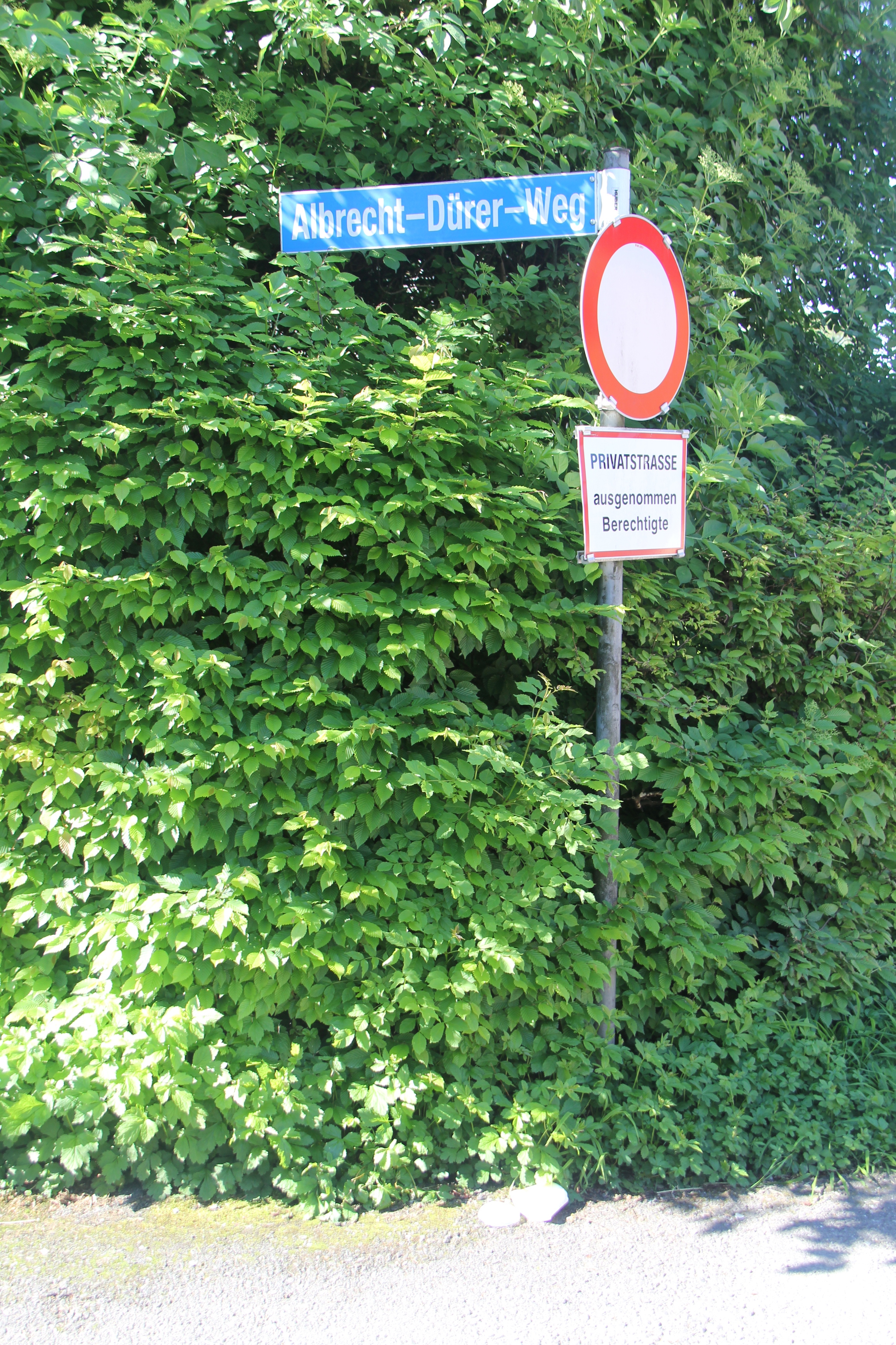 Albrecht-D__rer-Weg_1_jpg-1369065143