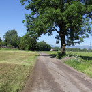 Angern_2_JPG-1369065146