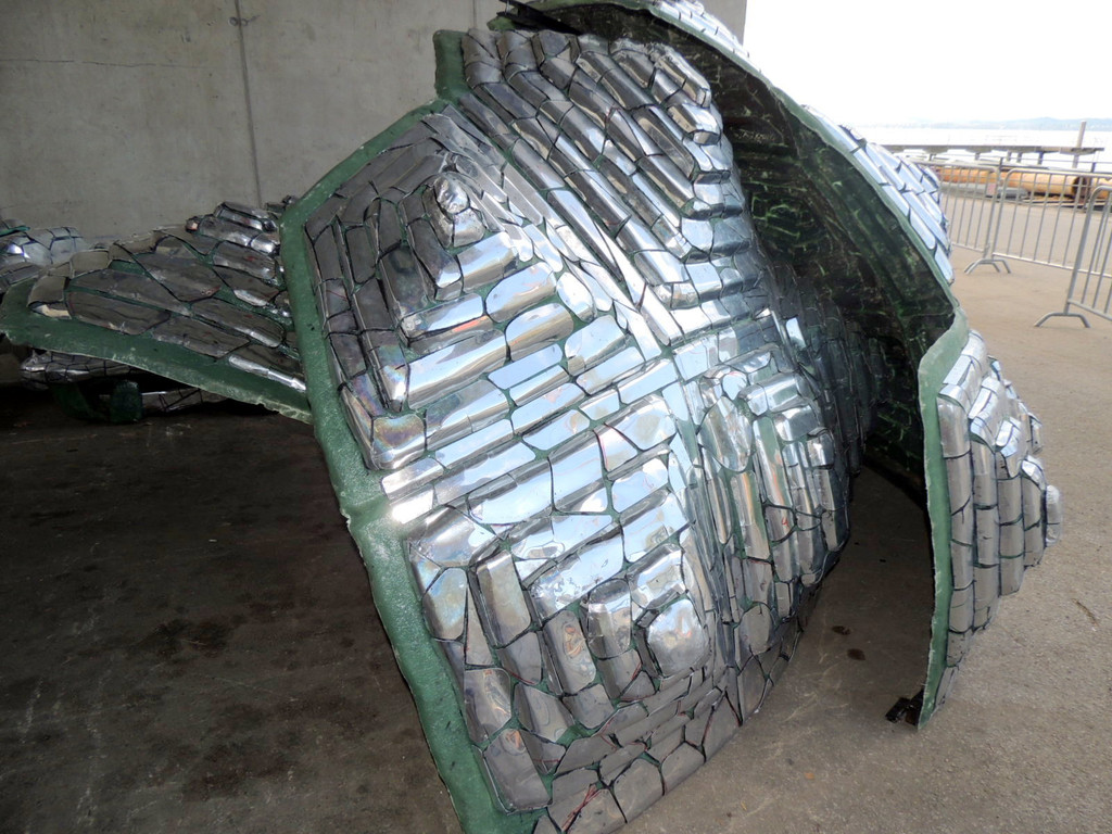 DSCN5120_JPG-1369088390