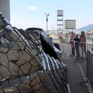 DSCN5123_JPG-1369088398