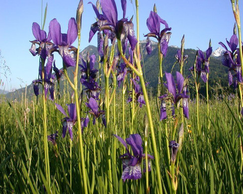 6b_Natur.jpg